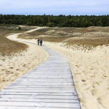 UNESCO Kuršių nerijos apsaugos planą Lietuvai nurodė rengti be Rusijos