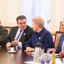D. Grybauskaitė: Europa privalo prisiimti atsakomybę už savo saugumą