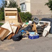 „Kauno švaros“ iniciatyva Kaune: surinkta per 330 tonų atliekų