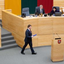G. Kirkilas apie biudžeto priėmimą: opozicija aršiai kritikuoja ir trukdo