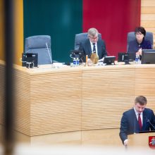 Seimas antrą kartą apsvarstė 2020 metų biudžeto projektą