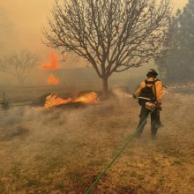 Teksase ugniagesiai kovoja su vienu didžiausių visų laikų gamtinių gaisrų 