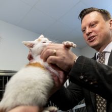 Vilniuje atidaryta atnaujinta gyvūnų globos prieglauda