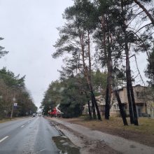 Stipraus vėjo padariniai Kaune: dalis Romainių liko be elektros, virto medžiai, nuplėšta stogo danga