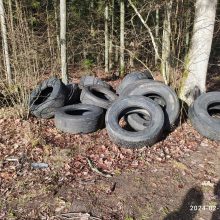 Į Kauno rajono mišką kažkas atvežė didelį kiekį sunkvežimių padangų: bando rasti gamtos teršėjus