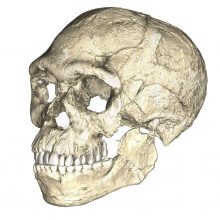 Maroke rastos fosilijos šiuolaikinius žmones pasendino 100 tūkst. metų