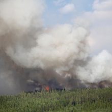 Švedija prašo ES šalių padėti gesinti miškų gaisrus