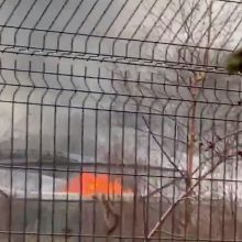 Britanijoje per gaisrą zoologijos sode evakuoti lankytojai
