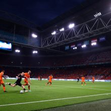 Europos futbolo čempionatas: Nyderlandai džiaugėsi pergale
