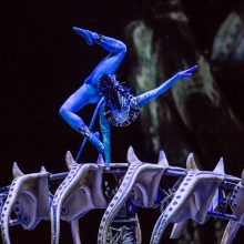„Cirque du Soleil“ šou artistai paneigė žmogaus judėjimo dėsnius