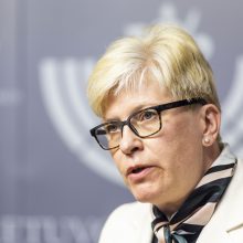 I. Šimonytė: tiesioginės grėsmės Lietuvai nematome
