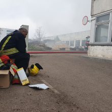 Alytaus miesto savivaldybės atstovė: tikimasi, kad šiandien gaisrą pavyks užgesinti