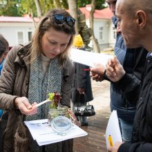 Sveiko maisto šventė: iškyla neapsiriboja tik šašlykais ir traškučiais