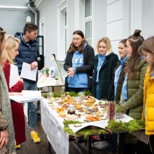 Sveiko maisto šventė: iškyla neapsiriboja tik šašlykais ir traškučiais