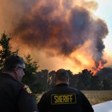 Kalifornijos miškų gaisrai – didžiausias ugnies siautėjimas per valstijos istoriją