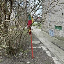 Uostamiestyje – neeilinis išpuolis: išniekintos Lietuvos trispalvės