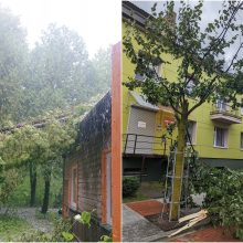 Šalinant medžius, ugniagesių pagalbos labiausiai reikėjo Šiaulių apskrities gyventojams