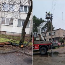 Stipraus vėjo padariniai Kaune: dalis Romainių liko be elektros, virto medžiai, nuplėšta stogo danga