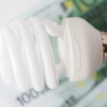 R. Pocius: trečiojo etapo vartotojai už 100 kWh elektros per mėnesį sutaupys apie 5 eurus