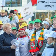 D. Grybauskaitė Briuselyje kovos už Lietuvos ūkininkus 