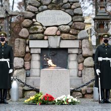 Šalies vadovai sveikina karius Lietuvos kariuomenės dienos proga