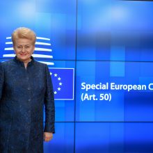 D. Grybauskaitė ragina Londoną konstruktyviai panaudoti papildomą laiką „Brexit“