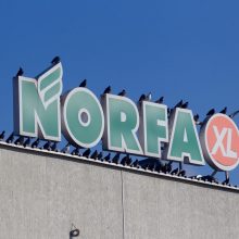 Teismas: 72 tūkst. eurų bauda „Norfos mažmenai“ skirta pagrįstai