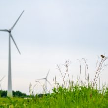 Vėjo energiją nori įgalinti Klaipėdos rajone