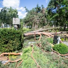 Iki tragedijos – vienas žingsnis: prie kapinių vėjo neatlaikė pušis