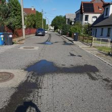 Klaipėdiečiai pasipiktino vežėjų paliktomis srutomis