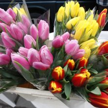 Šventinė prekyba: Valentino dienai – gėlės