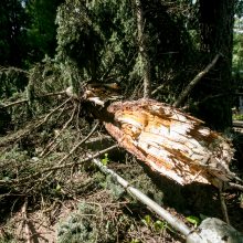 Audros padariniai Eigulių kapinėse: vaizdas – kaip po karo