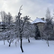 Sniego spąstuose atsidūrusios Klaipėdos meras – kelininkams: tiesiu taikymu – į gatves