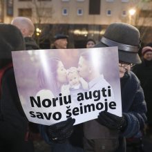 Mitinge prie Seimo reikalaujama stabdyti šeimų ardymą ir vaikų atiminėjimą