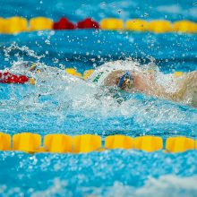 Plaukikas D. Rapšys pasaulio čempionate iškovojo aukso medalį!