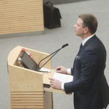 Seimas patvirtino 2019 metų biudžetą