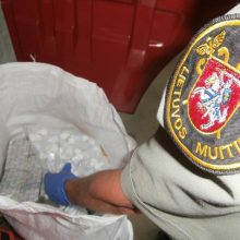Muitininkams įkliuvo nelegalius vaistus gabenęs lietuvis