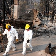 Kalifornijos gaisro aukų padaugėjo iki 79
