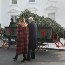 Į Baltuosius rūmus atkeliavo Kalėdų eglė