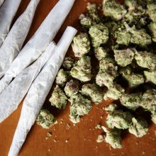 Panevėžyje sulaikytas vyras su marihuanos suktine, narkotikų rasta Kazlų Rūdoje, Šakiuose