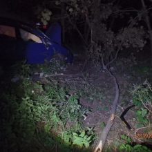 Girtas vairuotojas nusprendė savo automobiliu „apgenėti“ medžius