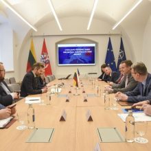 Čekijos ir Lietuvos atstovai aptarė kibernetinio saugumo politikos prioritetus