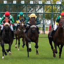 Karališkomis tituluojamos žirgų lenktynės – šeštadienį Raseinių hipodrome