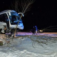 Į Kaziuko mugę vykę lenkai pateko į avariją, sužalota 16 žmonių 