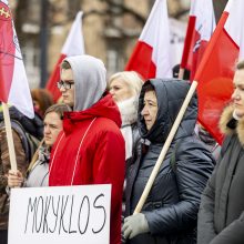 Dėl Trakų rajono švietimo įstaigų pertvarkos – protestas prie Vyriausybės 