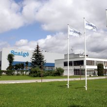 „Snaigės“ pajamos šiemet mažėjo trečdaliu iki 2,9 mln. eurų