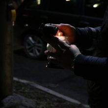 Pareigūnai ragina rūpintis savo saugumu: daugelis žuvusių neturėjo atšvaitų