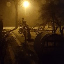 Lietuvoje bobų vasarą pakeitė sniegas