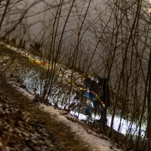 Tęsiamos dingusio Mykolo paieškos: mama pasidalijo nauju prašymu