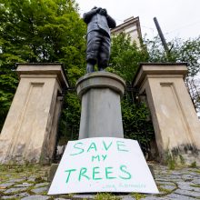 Sostinės savivaldybė: greitų veiksmų dėl medžių kirtimo R. Gary skvere nebus 
